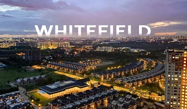 Whitefield